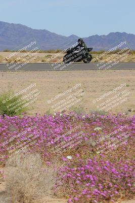 media/Mar-12-2023-SoCal Trackdays (Sun) [[d4c8249724]]/Turn 15 Inside Bloom (130pm)/